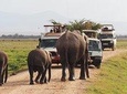 Amboseli National Park Full Day Guided Tour