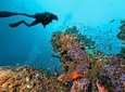 Diving in Hurghada