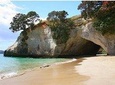 Private Trip to Coromandel