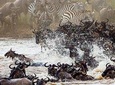 Private 11 Days Best of Kenya & Tanzania Big 5 Safari