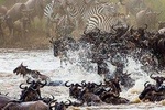 Private 11 Days Best of Kenya & Tanzania Big 5 Safari