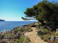 Picturesque walk from Nice to Villefranche sur Mer with pic-nic and swim