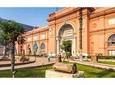 Day Tour In Cairo Is Egyptian Museum, Old Cairo And Khan El Khalili Bazaar