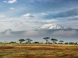 Kilimanjaro: Lemosho Route