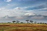 Kilimanjaro: Lemosho Route