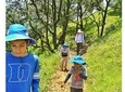 Benog Tibba Trek - Mussoorie