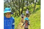 Benog Tibba Trek - Mussoorie