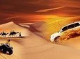 Desert Safari with BBQ Dinner