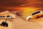 Desert Safari with BBQ Dinner