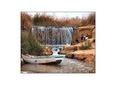 Day Tour To Fayoum Oasis From Cairo