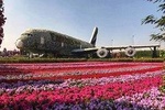 Dubai Miracle Garden Ticket with Transfer 