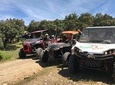 3h buggy route through the Dehesa Extremeña