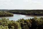 Can Gio - Mangrove forest 1 day tour 