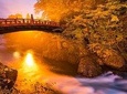 Nikko Custom Full Day Tour