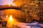 Nikko Custom Full Day Tour