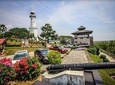 Kuala Selangor Fireflies River Ride Including Dinner from Kuala Lumpur