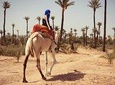 Guided Marrakech Camel Ride 2 hours