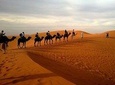 Morning Desert Safari with Extensive Camel Ride