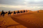 Morning Desert Safari with Extensive Camel Ride
