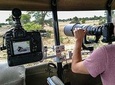 10 Day Wildlife Photographic Safari - Kruger National Park - B1 Photo Safaris