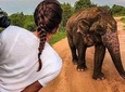 Best Of Sri lanka Tour (06 Days 05 Nights) - Kandy- N.Eliya -Bentota-Colombo