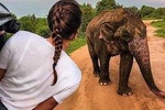 Best Of Sri lanka Tour (06 Days 05 Nights) - Kandy- N.Eliya -Bentota-Colombo