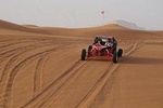 Evening Desert Dune Buggy With Buffet Dinner