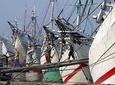 Jakarta Private Tour Multi Language ( With Lunch )