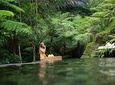 Floating Breakfast at Private jungle pool , Swing , Sunrise and Balinesse Spa