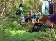 Tropical Rain Forest Explorer In St. Kitts