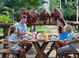 Full Day Tour - Breakfast with Orang Utan and Kintamani Tour