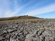 The Burren and Cliffs of Moher Full Day Private Tour from Galway