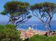 Dazzling Saint Tropez and villages
