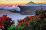 Bromo Ijen Trekking Tour From Bali