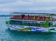 Whales & Dolphin Watching Day Tour From Bentota