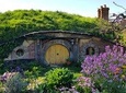 Hobbiton Movie Set Luxury Tour from Auckland