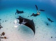 Nusa Penida Island Tour Package With Snorkeling