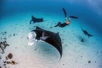 Nusa Penida Island Tour Package With Snorkeling
