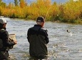 Guided Fly Fishing Experience 