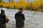 Guided Fly Fishing Experience 