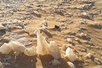 White Desert and Bahariya Oasis Tour 3 Days 2 Nights 