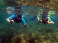 Snorkeling excursion in Isla de Tabarca