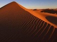 VIP Red Dunes Desert Safari ,BBQ Dinner, Belly Dance & Fire Show
