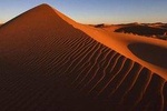 VIP Red Dunes Desert Safari ,BBQ Dinner, Belly Dance & Fire Show