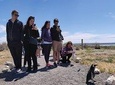 Sib Cruise Shore Excursion Punta Tombo - Puerto Madryn - Patagonia Argentina