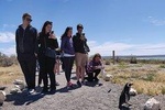 Sib Cruise Shore Excursion Punta Tombo - Puerto Madryn - Patagonia Argentina