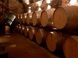 Private Brunello & Nobile Wine Tour (for families or small groups)