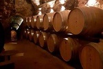 Private Brunello & Nobile Wine Tour (for families or small groups)
