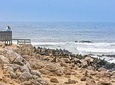 Full Day Drive to Cape Cross