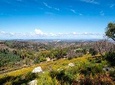 Algarve a la Carte